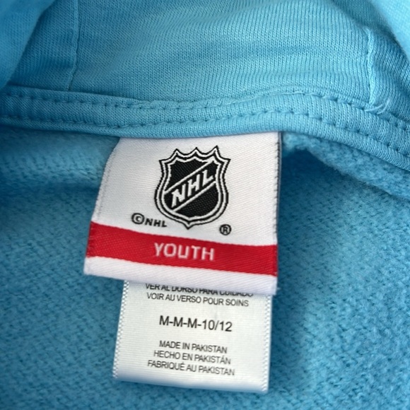 Florida Panthers NHL Retro Logo Youth Hooded Sweatshirt - Picture 2 of 5